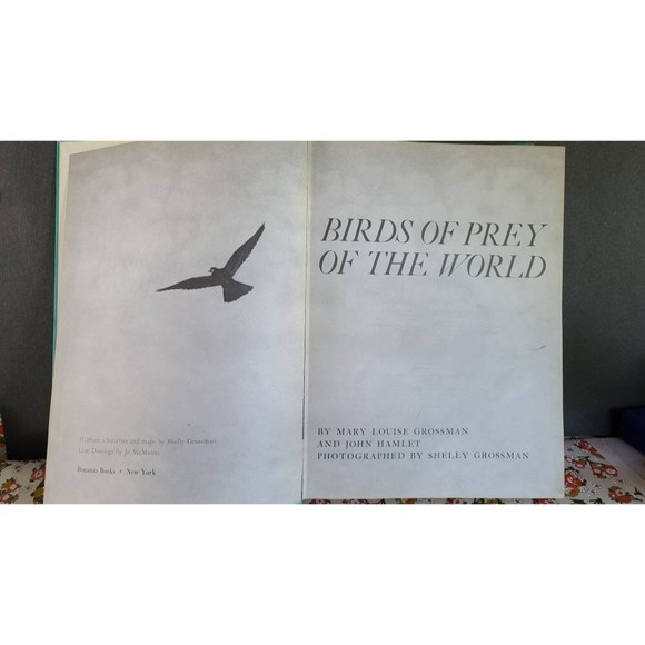 Birds of Prey of the World - Picture 3 of 10